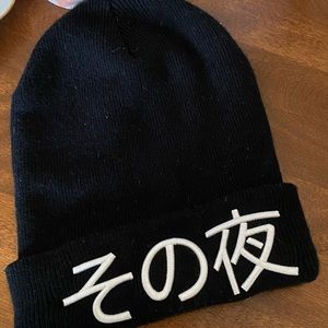 Aritzia La Notte beanie
